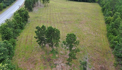 Toledo Bend Reservoir Lot For Sale in Many Louisiana
