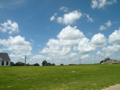 Great new home site on the lake - photo 4