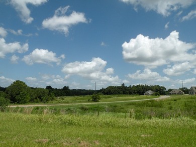 Great new home site on the lake - photo 6