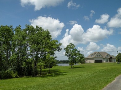 Great new home site on the lake - photo 10