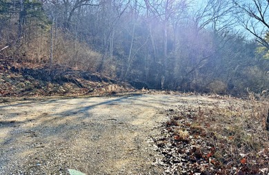 (private lake, pond, creek) Acreage For Sale in Cedar Grove Indiana