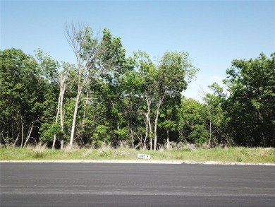 Lake Lot For Sale in Bridgeport, Texas