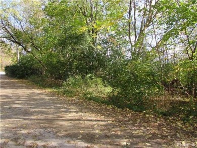 Lower Straits Lake Lot For Sale in Commerce Twp Michigan