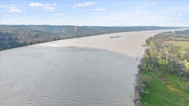 Private boat ramp and dock on the Ohio River! - photo 29