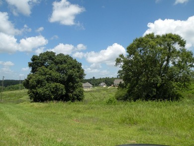 Great new home site on the lake - photo 4