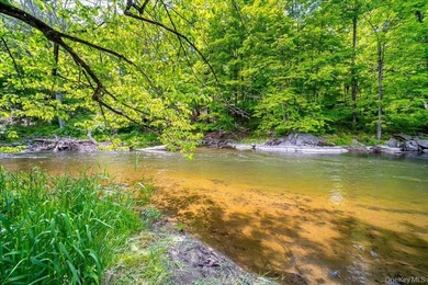 Build Your Waterfront Forever Home: 5.10 Picturesque Acres along - photo 1