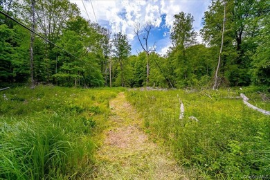 Build Your Waterfront Forever Home: 5.10 Picturesque Acres along - photo 4