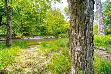 Build Your Waterfront Forever Home: 5.10 Picturesque Acres along - photo 6