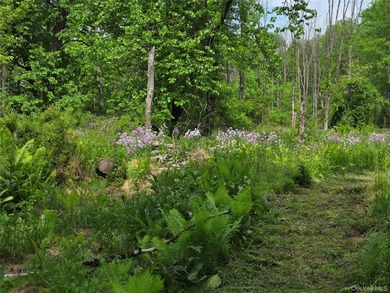 Build Your Waterfront Forever Home: 5.10 Picturesque Acres along - photo 7