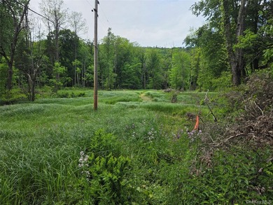 Build Your Waterfront Forever Home: 5.10 Picturesque Acres along - photo 8
