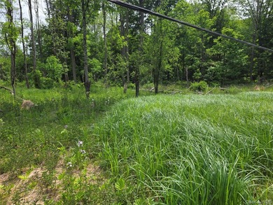 Build Your Waterfront Forever Home: 5.10 Picturesque Acres along - photo 9