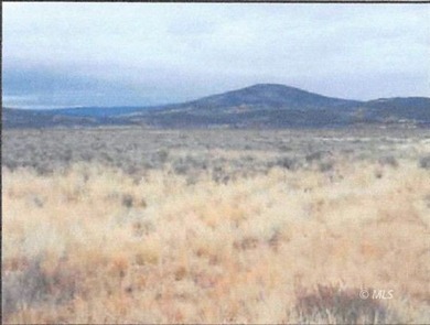 120 acres of native grasses and sagebrush. Use for your own - photo 1