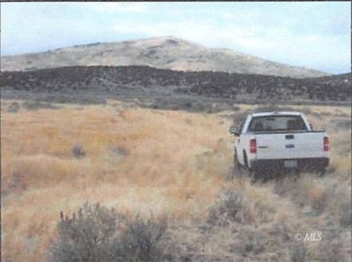 120 acres of native grasses and sagebrush. Use for your own - photo 2