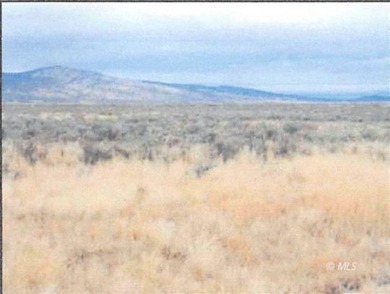 120 acres of native grasses and sagebrush. Use for your own - photo 3