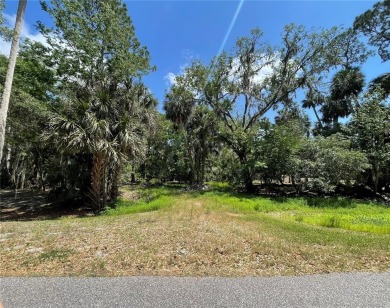 Lake Lot For Sale in Deltona, Florida