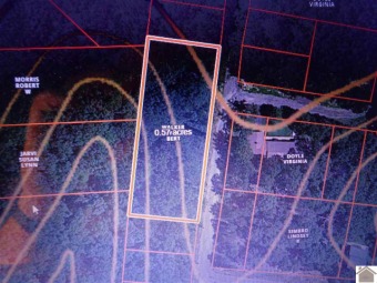 Lake Lot For Sale in New Concord, Kentucky