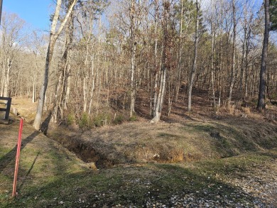 Lake Acreage For Sale in Newport, Tennessee