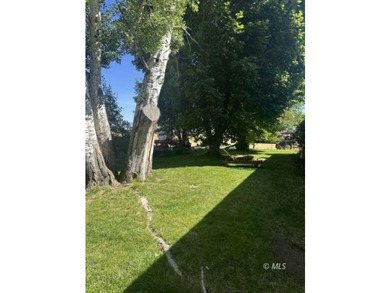 142 Co. Rd. 147 Cedarville, Ca. Escape to the beauty and - photo 8