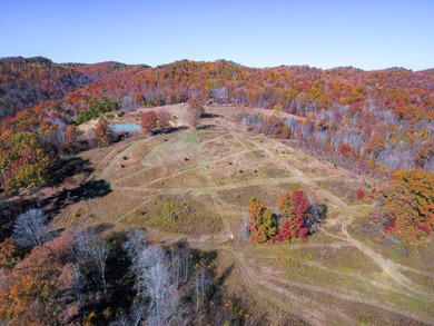 Lake Acreage For Sale in Vanceburg, Kentucky