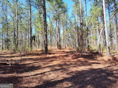 Hunter's Dream....53 acres of the most peaceful forest until the - photo 3