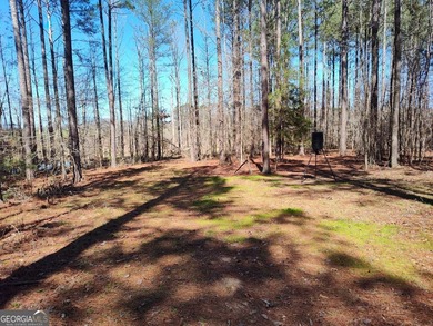 Hunter's Dream....53 acres of the most peaceful forest until the - photo 4