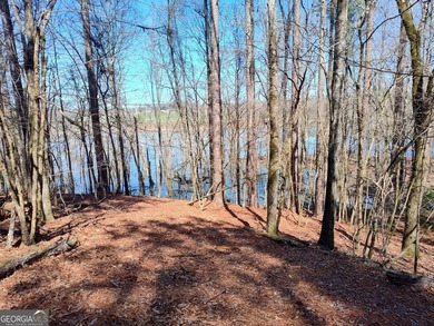Hunter's Dream....53 acres of the most peaceful forest until the - photo 5