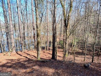 Hunter's Dream....53 acres of the most peaceful forest until the - photo 6