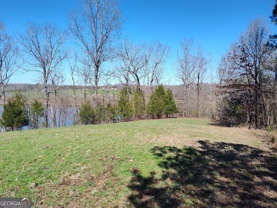 Hunter's Dream....53 acres of the most peaceful forest until the - photo 7