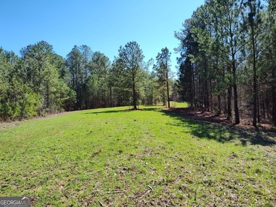 Hunter's Dream....53 acres of the most peaceful forest until the - photo 10