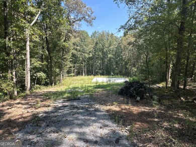 Lake Lot For Sale in Winterville, Georgia