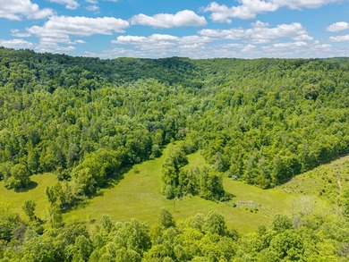 Your dream land awaits-122.38 UNRESTRICTED acres of opportunity - photo 11