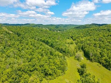 Your dream land awaits-122.38 UNRESTRICTED acres of opportunity - photo 12