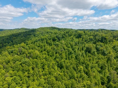 Your dream land awaits-122.38 UNRESTRICTED acres of opportunity - photo 13