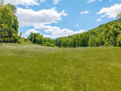 Your dream land awaits-122.38 UNRESTRICTED acres of opportunity - photo 14