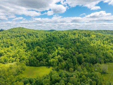 Your dream land awaits-122.38 UNRESTRICTED acres of opportunity - photo 15