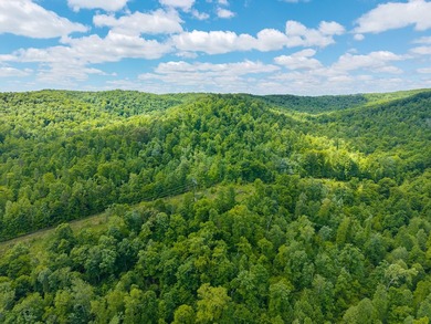 Your dream land awaits-122.38 UNRESTRICTED acres of opportunity - photo 17