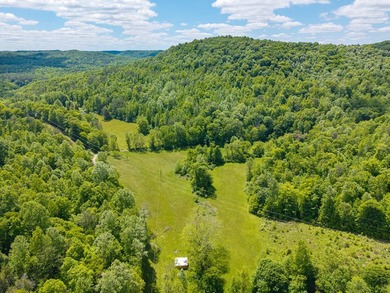 Your dream land awaits-122.38 UNRESTRICTED acres of opportunity - photo 19