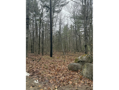 Lovely level wooded lot overlooking a ravine. Quiet, peaceful - photo 1