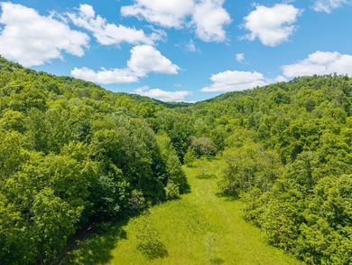 Your dream land awaits-122.38 UNRESTRICTED acres of opportunity - photo 21