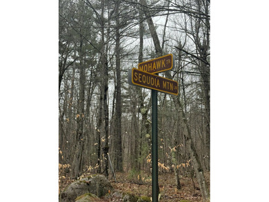 Lovely level wooded lot overlooking a ravine. Quiet, peaceful - photo 2