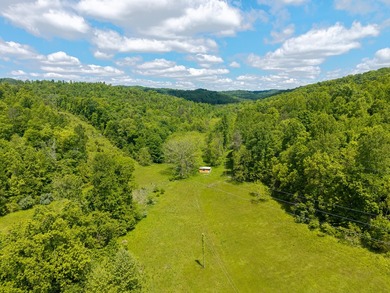 Your dream land awaits-122.38 UNRESTRICTED acres of opportunity - photo 22