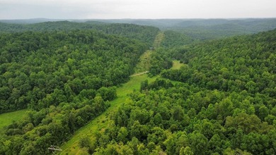 Your dream land awaits-122.38 UNRESTRICTED acres of opportunity - photo 23