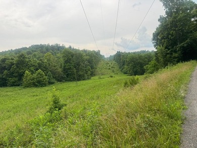 Your dream land awaits-122.38 UNRESTRICTED acres of opportunity - photo 24