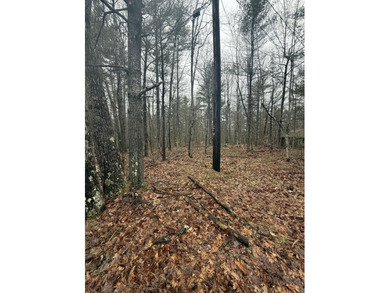 Lovely level wooded lot overlooking a ravine. Quiet, peaceful - photo 5