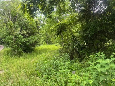 Your dream land awaits-122.38 UNRESTRICTED acres of opportunity - photo 25