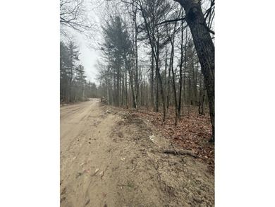 Lovely level wooded lot overlooking a ravine. Quiet, peaceful - photo 6