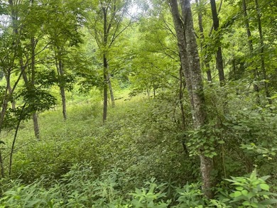 Your dream land awaits-122.38 UNRESTRICTED acres of opportunity - photo 26
