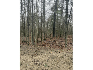Lovely level wooded lot overlooking a ravine. Quiet, peaceful - photo 7