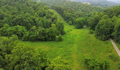 Your dream land awaits-122.38 UNRESTRICTED acres of opportunity - photo 27