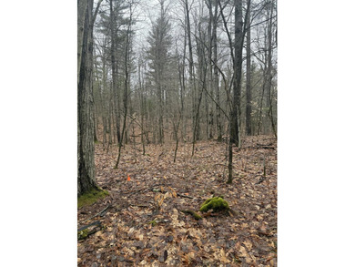 Lovely level wooded lot overlooking a ravine. Quiet, peaceful - photo 8